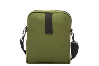 City Lights Olive